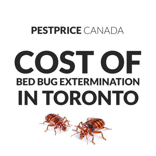 What is the cost of bed bug extermination in toronto